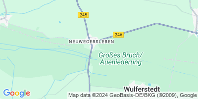 Am Großen Bruch