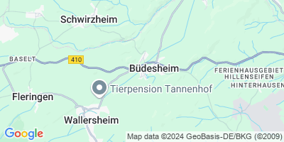 Büdesheim