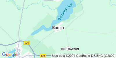 Barnin
