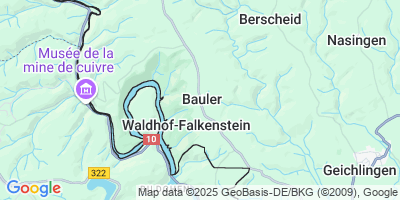 Bauler