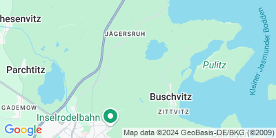 Buschvitz