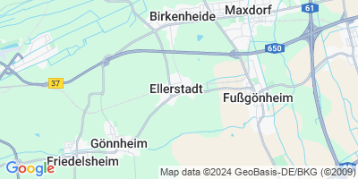 Ellerstadt