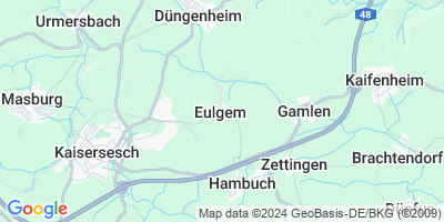 Eulgem