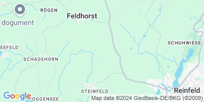Feldhorst