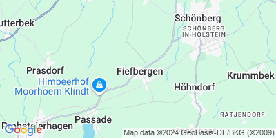 Fiefbergen