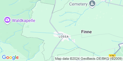 Finne