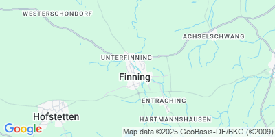Finning