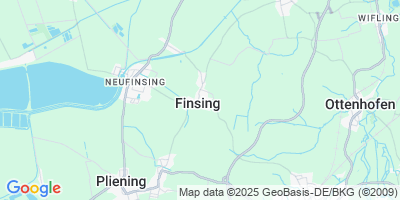 Finsing