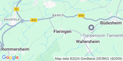 Fleringen