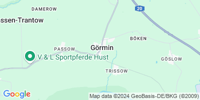 Görmin