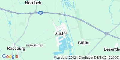 Güster