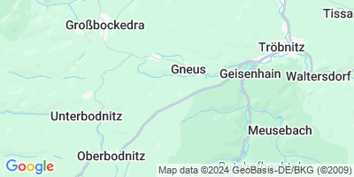 Gneus