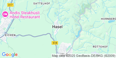 Hasel