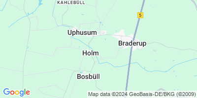 Holm
