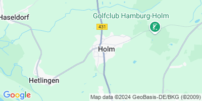 Holm
