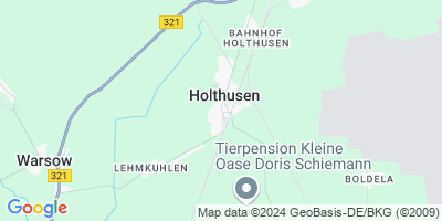 Holthusen