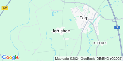 Jerrishoe