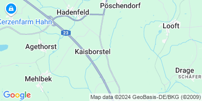 Kaisborstel
