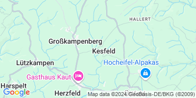 Kesfeld