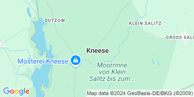 Kneese