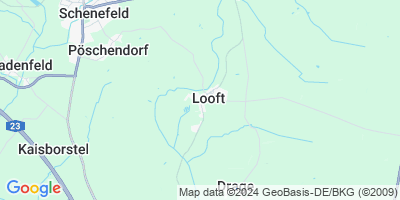 Looft