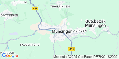 Münsingen