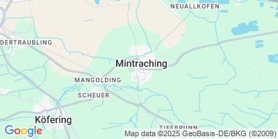 Mintraching