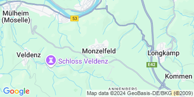 Monzelfeld