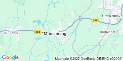 Moosinning