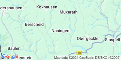 Nasingen