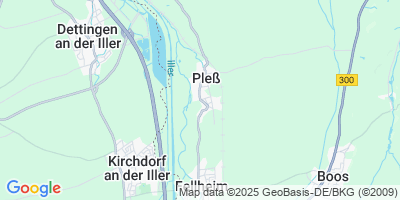 Pleß