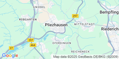 Pliezhausen