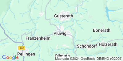 Pluwig