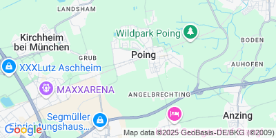 Poing