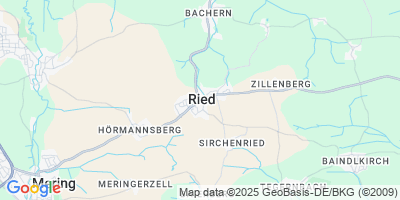 Ried