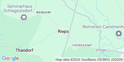Rieps