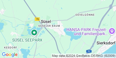 Süsel