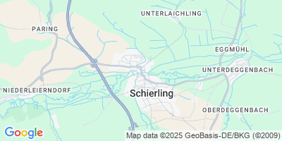 Schierling