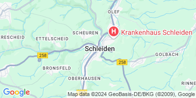 Schleiden