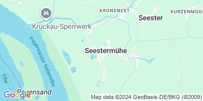 Seestermühe