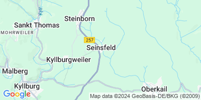 Seinsfeld