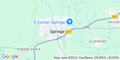 Springe