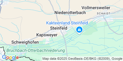 Steinfeld (Pfalz)