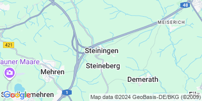 Steiningen