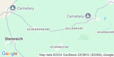 Steinreich