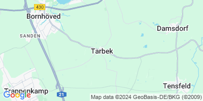 Tarbek