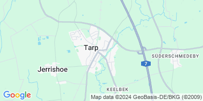 Tarp