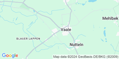 Vaale