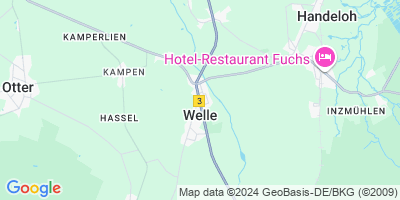 Welle