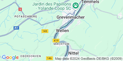 Wellen